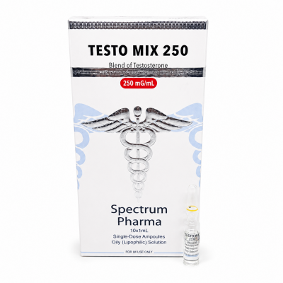 Testo Mix 250